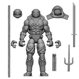 Turtle Ronin