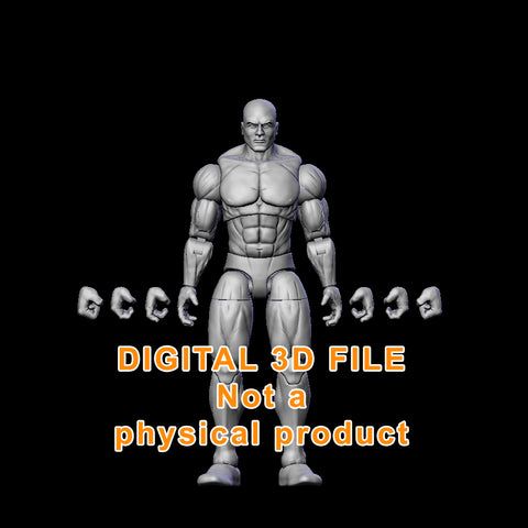 Blank Articulated Figure Digital 3D files