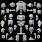 Bomination FIN VERSION