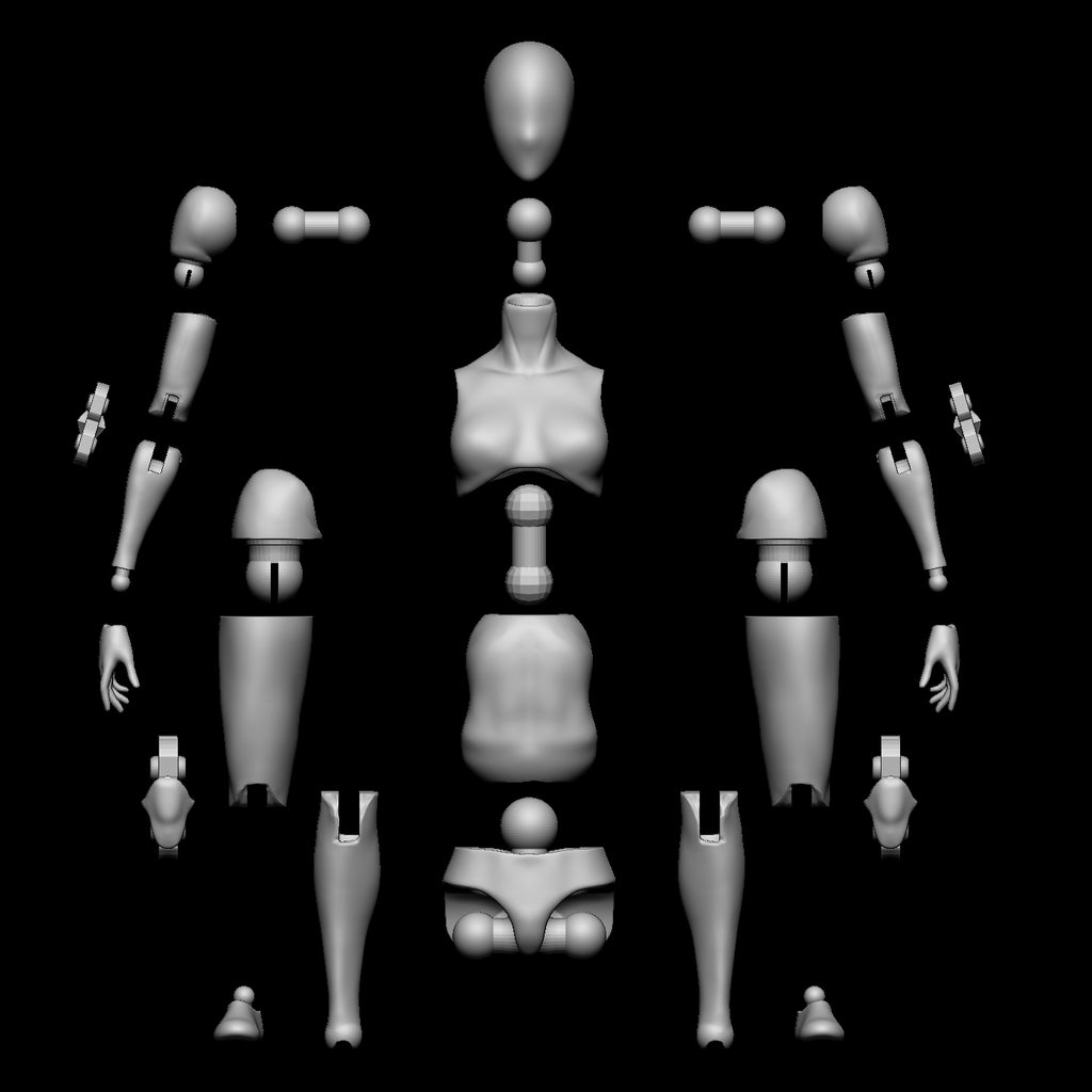 Female Slim Blank Articulated Figure Digital 3D files 1/12 scale
