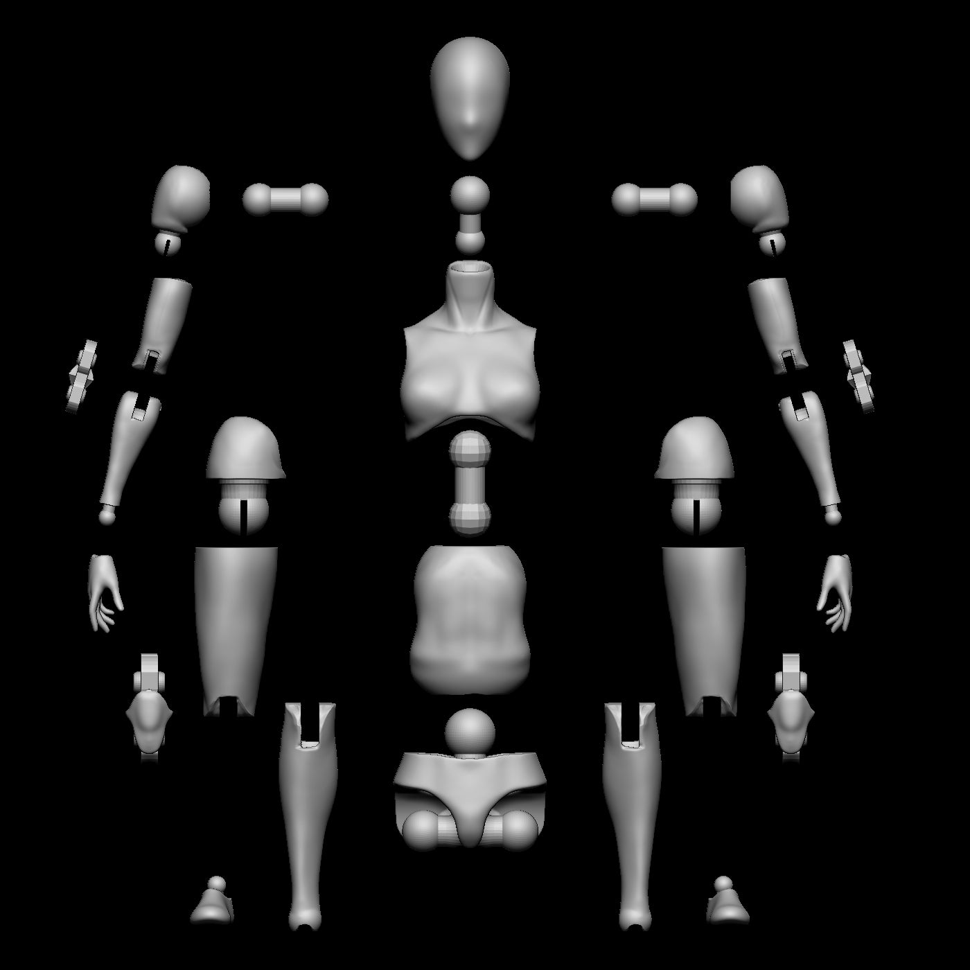 Female Slim Blank Articulated Figure Digital 3D files 1/12 scale