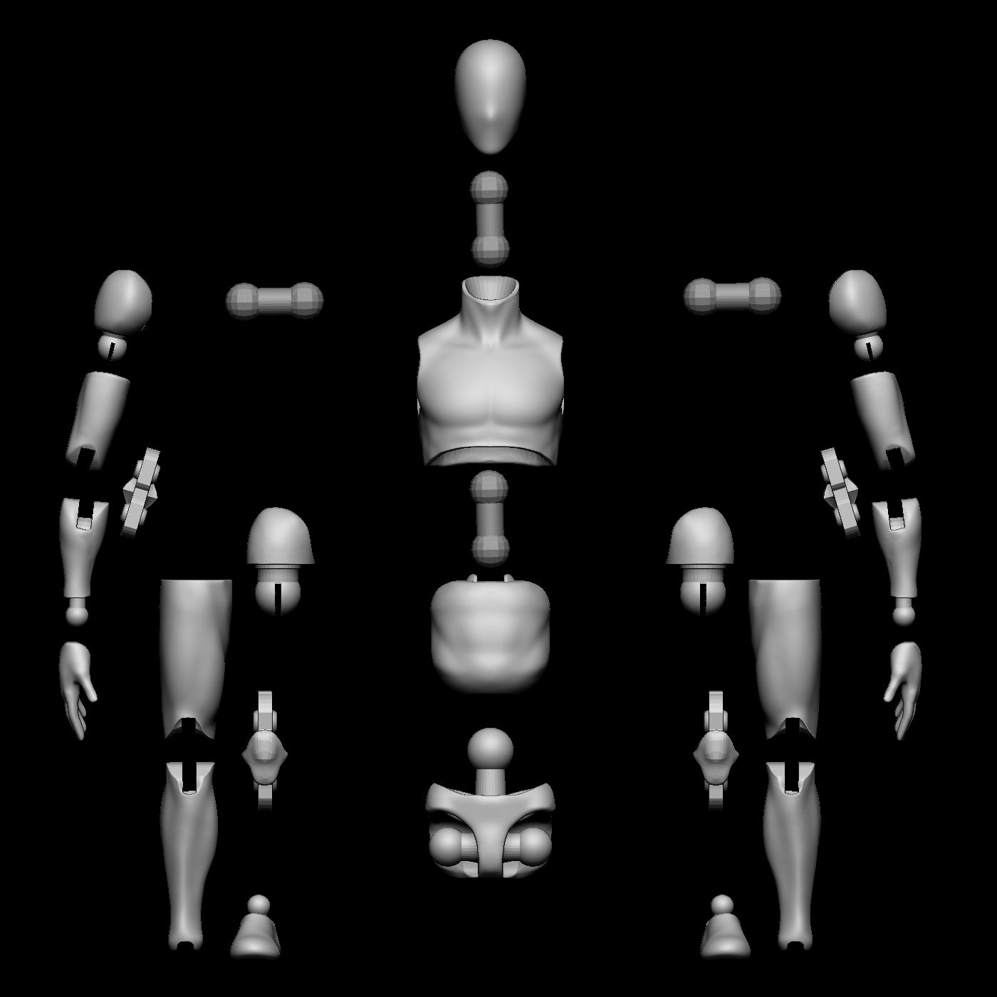 Male Slim Blank Articulated Figure Digital 3D files 1/12 scale