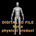 Male Slim Blank Articulated Figure Digital 3D files 1/12 scale