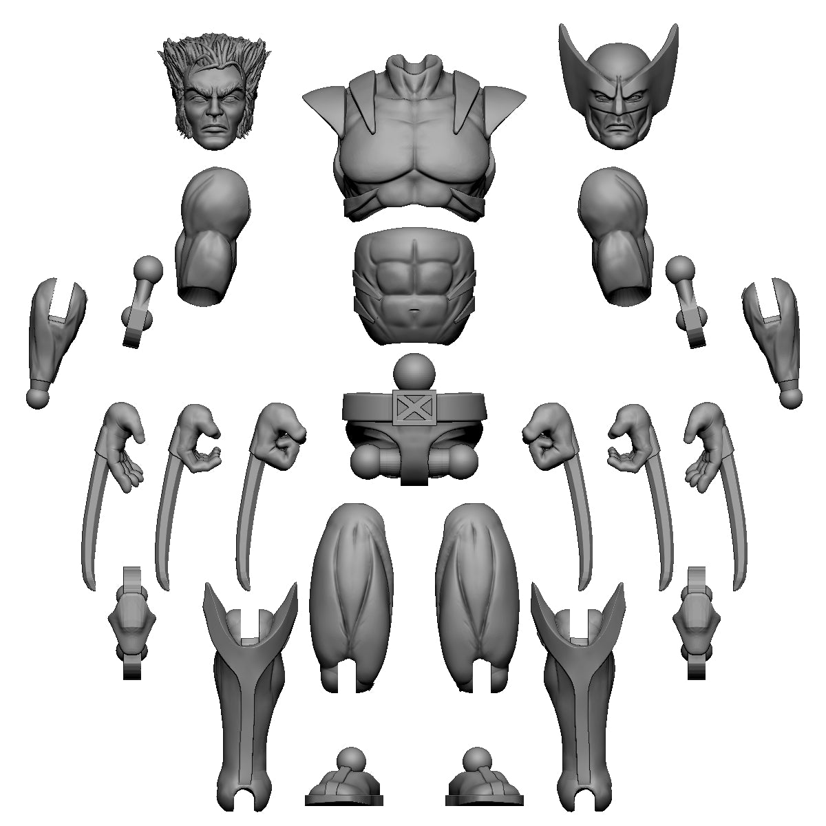 The Wolvie